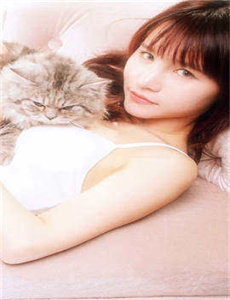小猪佩奇动画片全集 连续播放