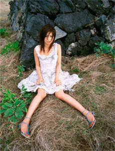 碧血剑2007